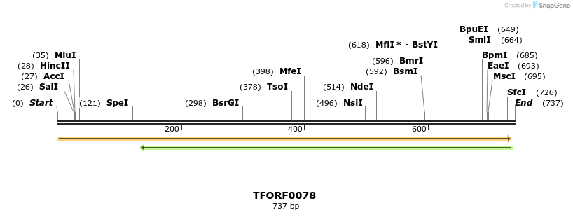 319858_map