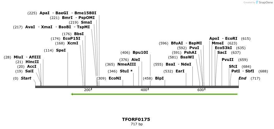 319859_map