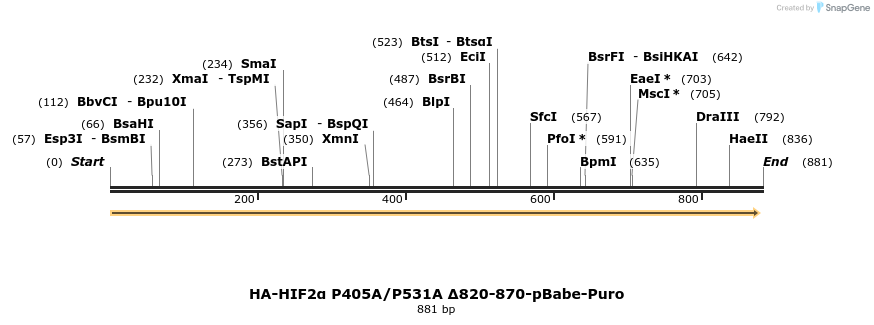 31986_map