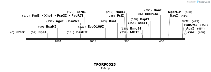 319861_map