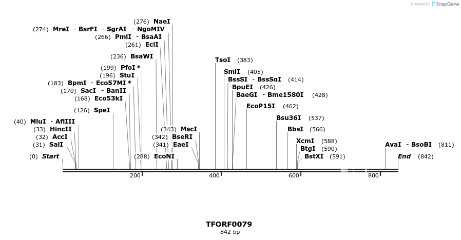 319862_map