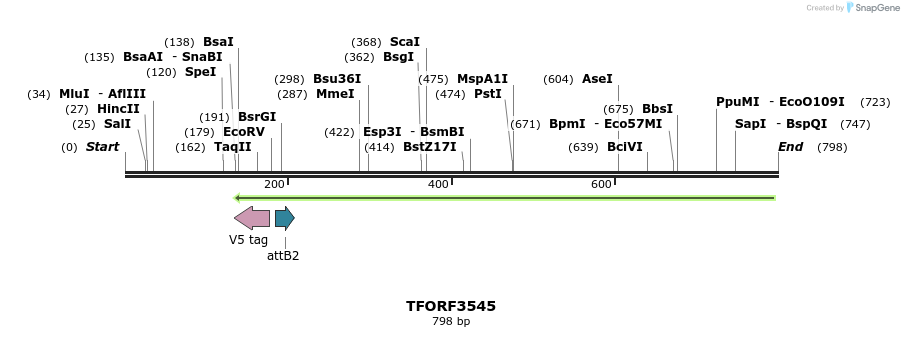 319863_map