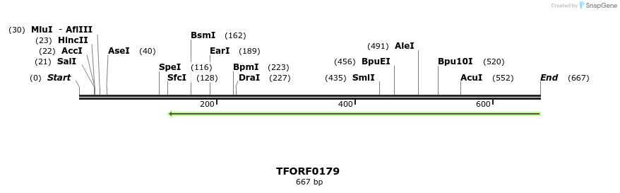 319870_map