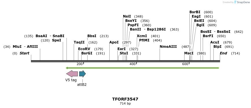 319872_map