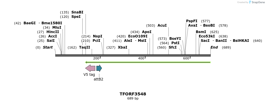 319874_map