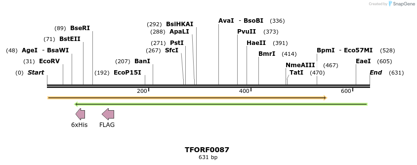 319877_map