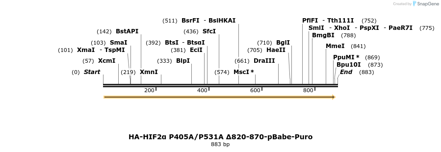 31988_map