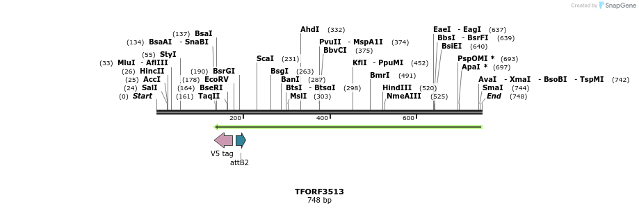 319882_map