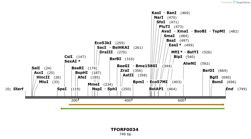 319888_map