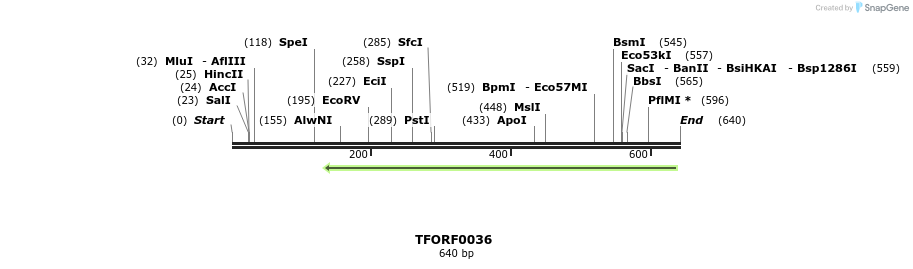 319891_map