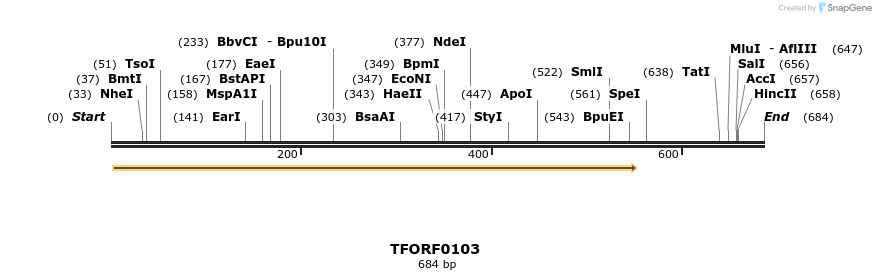 319893_map