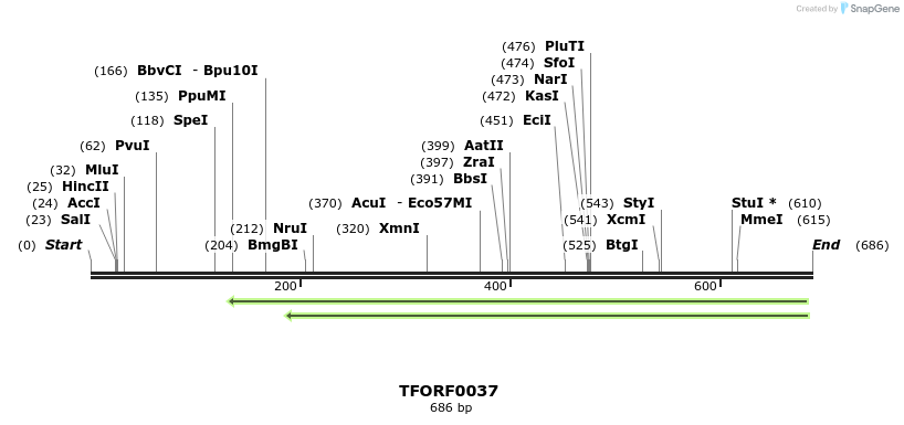 319896_map