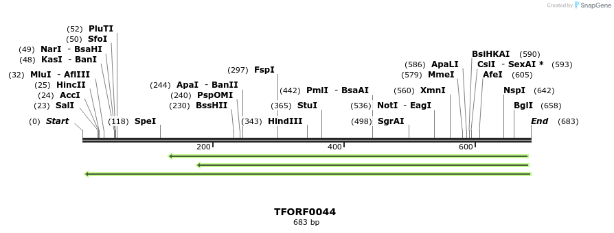 319900_map