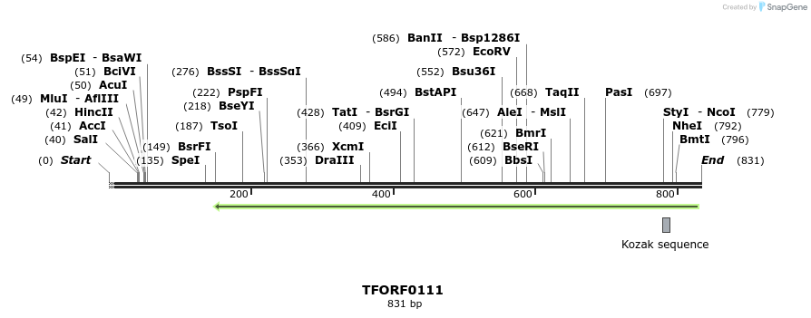 319901_map