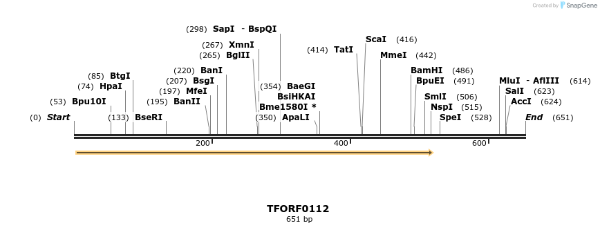 319905_map