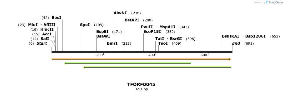 319906_map