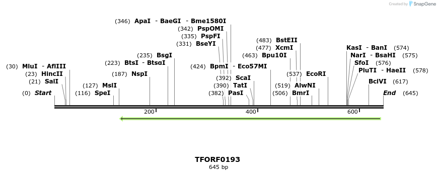 319907_map