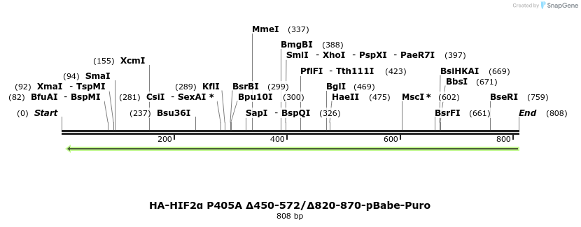 31991_map