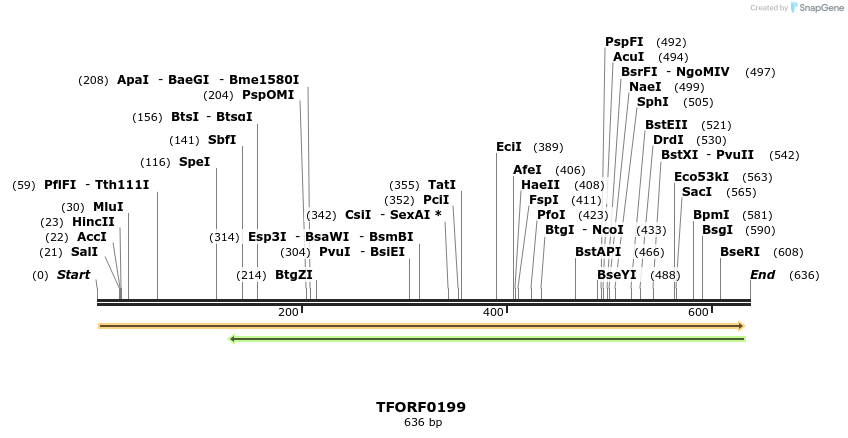 319910_map