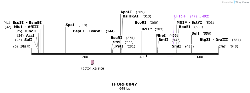 319912_map