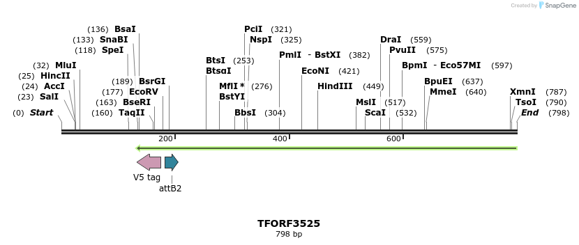 319914_map