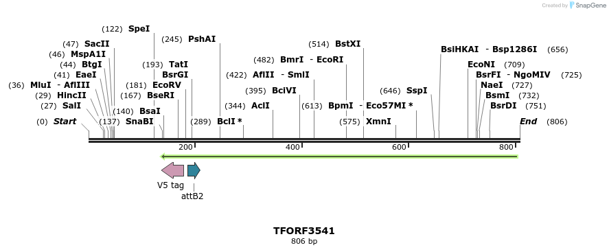 319924_map