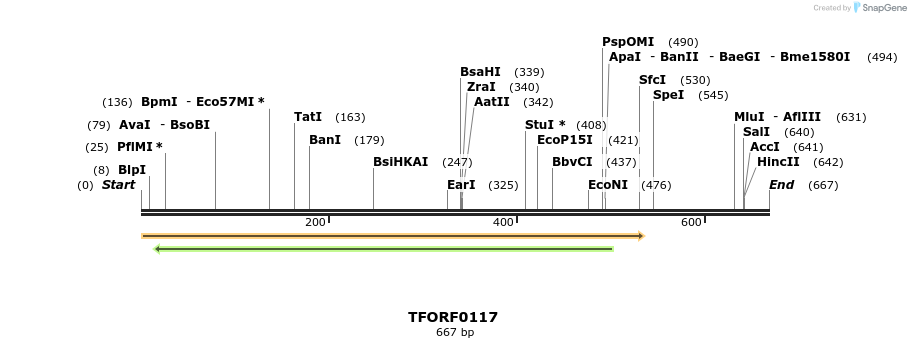 319929_map