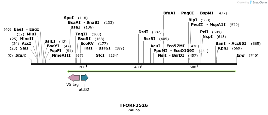 319934_map