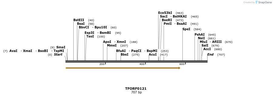 319937_map