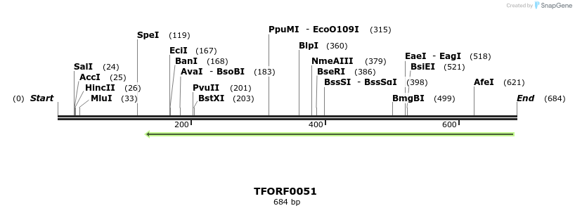 319939_map