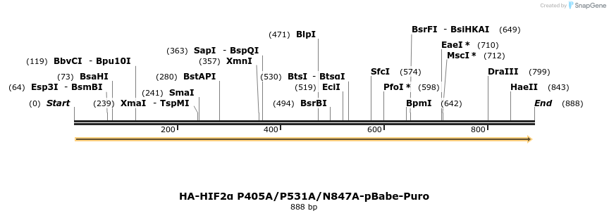 31994_map
