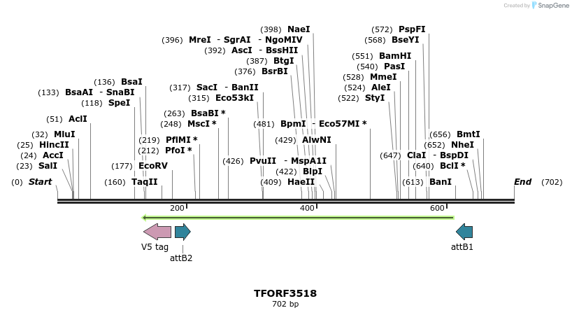 319940_map