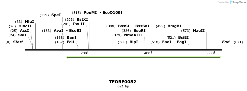 319941_map