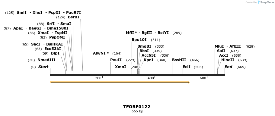 319942_map