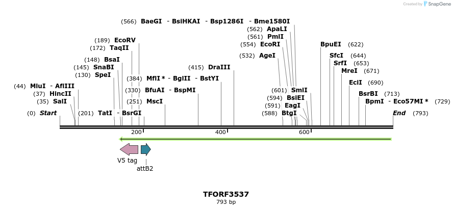 319944_map