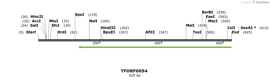 319945_map