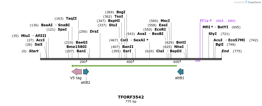 319947_map