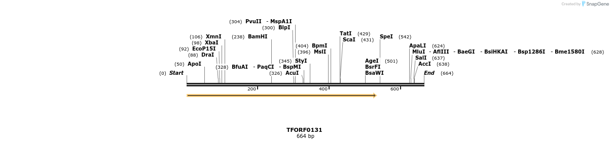 319949_map