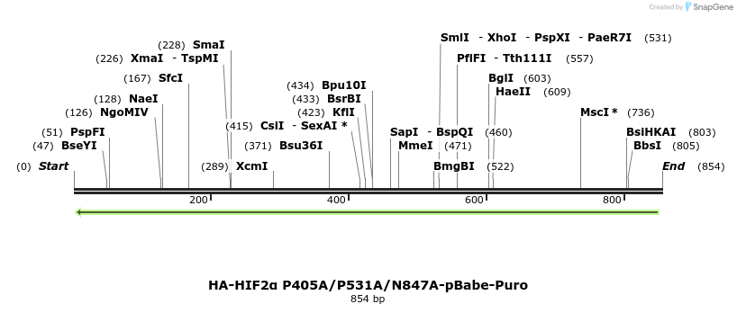 31995_map