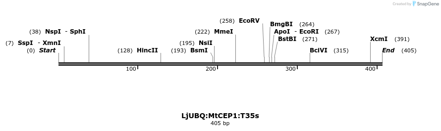 319954_map