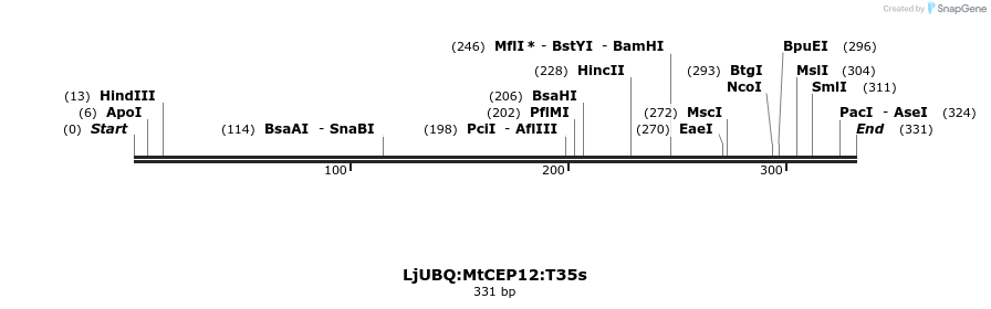 319955_map