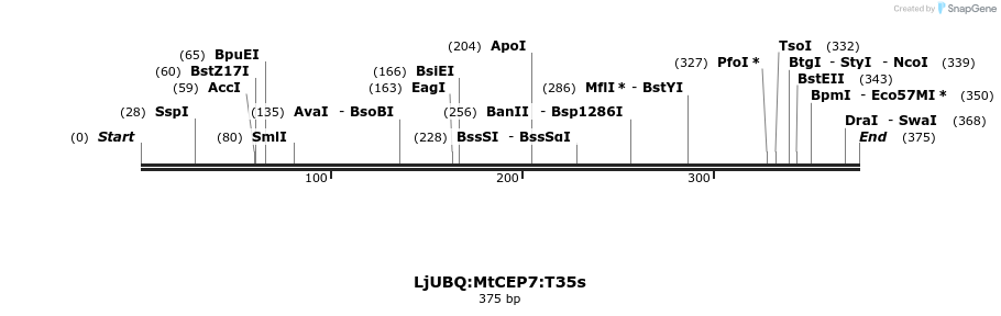 319956_map