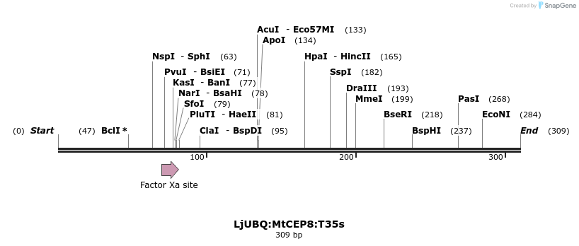 319957_map
