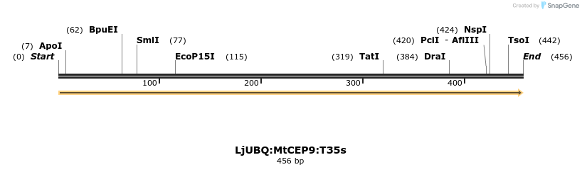 319958_map