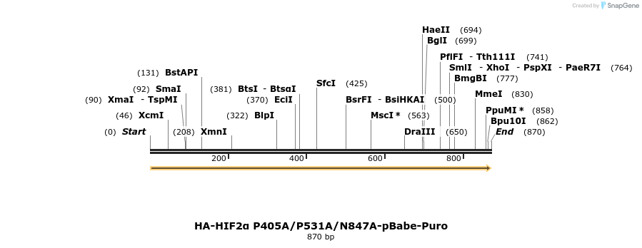31996_map