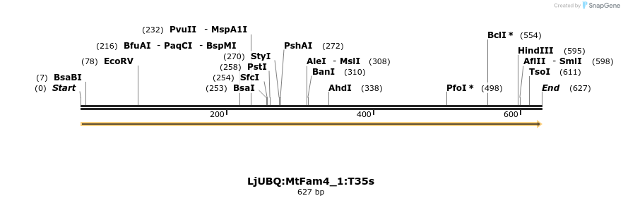 319962_map