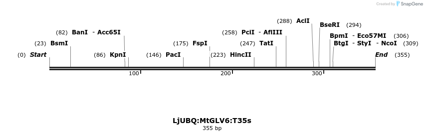 319966_map