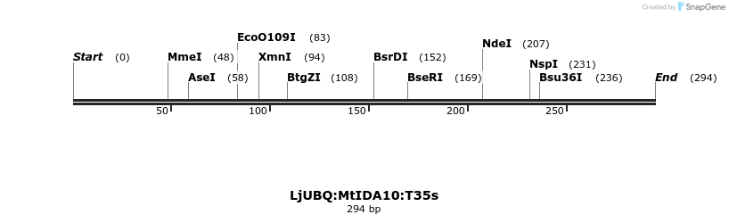 319968_map
