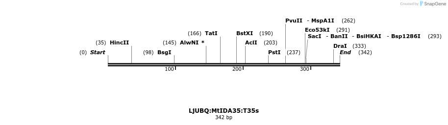 319972_map
