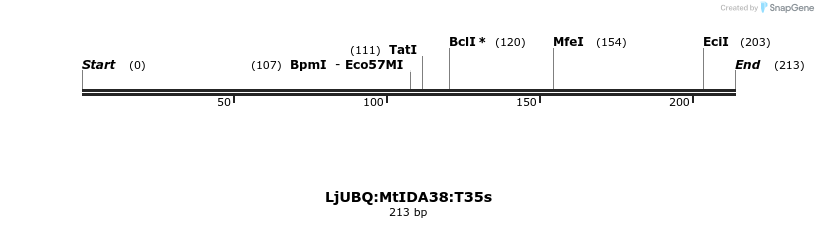 319973_map